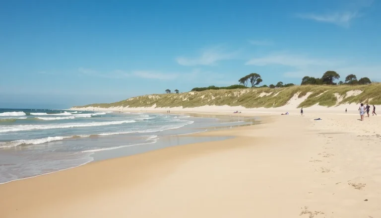 Plage de Lespecier à Mimizan : guide pratique, accès, avis et plages à découvrir