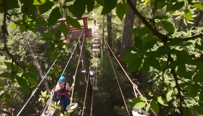 Accrobranche près d’Angoulême : les meilleurs parcs en Charente